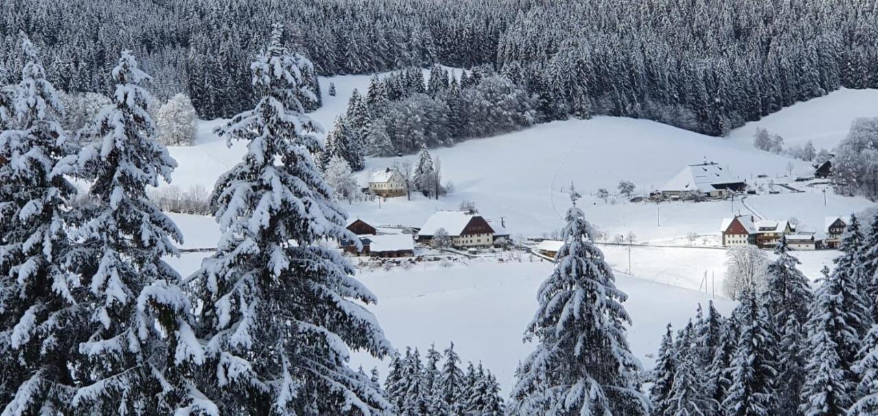Schwarzwaldblick Apartment Titisee-Neustadt Exterior photo